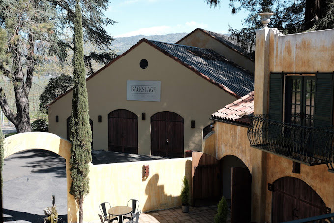 Scenic vineyard landscape with a mountain backdrop
