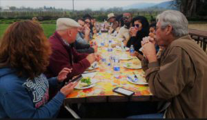 Guide explaining wine tasting notes to visitors